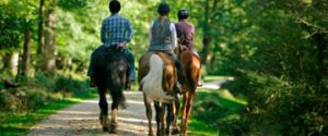 Rutas a caballo por Asturias con Aipol Aventura
