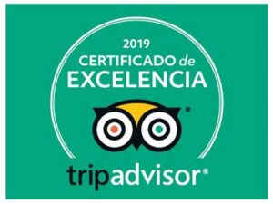 Certificado excelencia Trip Advisor 2019