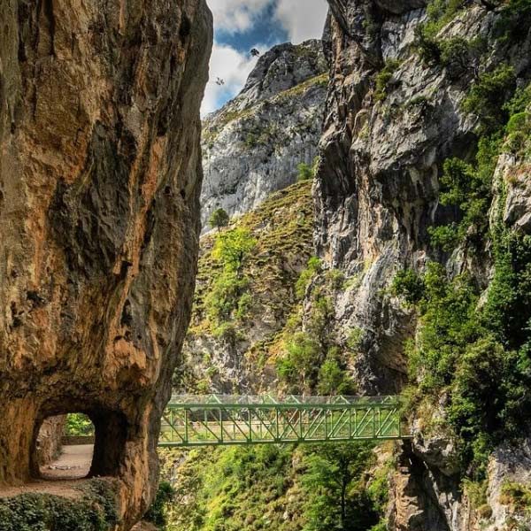 Puente de los rebecos en la ruta del cares una de las actividades más bonitas